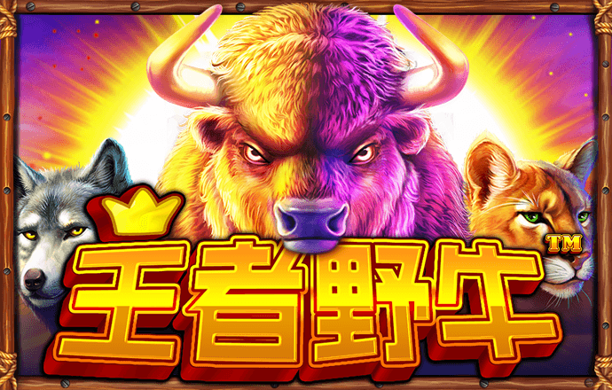 kaiyun登录入口登录