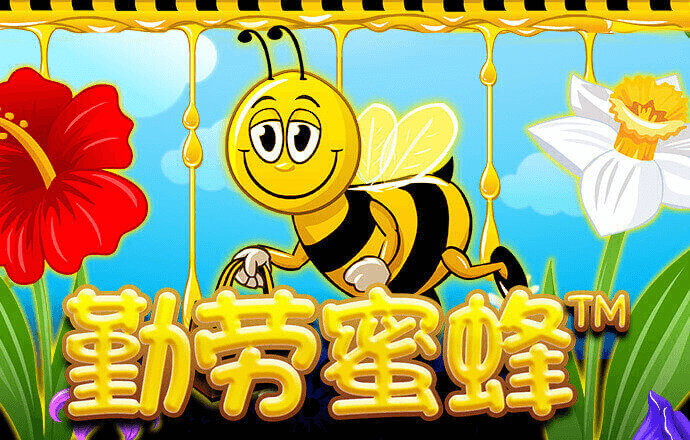 kaiyun·体育app